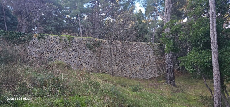 Restauration d anciens murs en pierres sèches à Ollioules 5 ans après