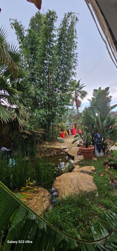 création d'un jardin méditerranéen sur Ollioules dans le VAR