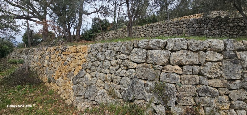 Visite 3 ans après sur la reconstruction de murets en pierres sèches à Mouans-Sartoux dans Alpes-Maritimes, en région Provence-Alpes-Côte d'Azur.