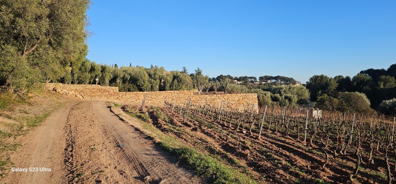 création murs en pierres sèches sur Ollioules dans le Var