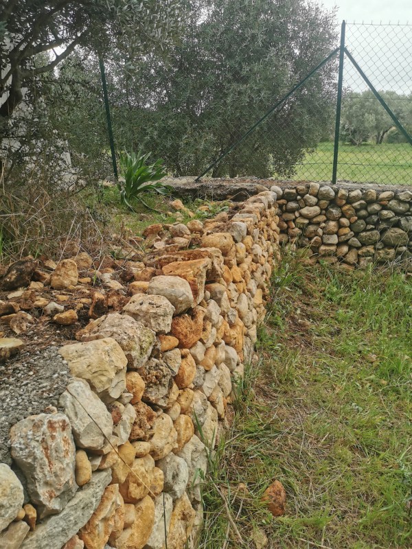 Réparation des murs en pierres sèches sur le parc de la Villa Marguerite à Ollioules