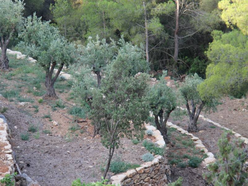 muret en piere vue de haut