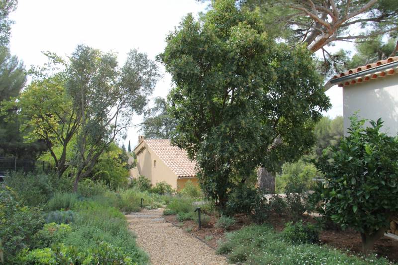 Chemin sur jardin paysager par un architecte paysagiste sur La Ciotat prés de Cassie