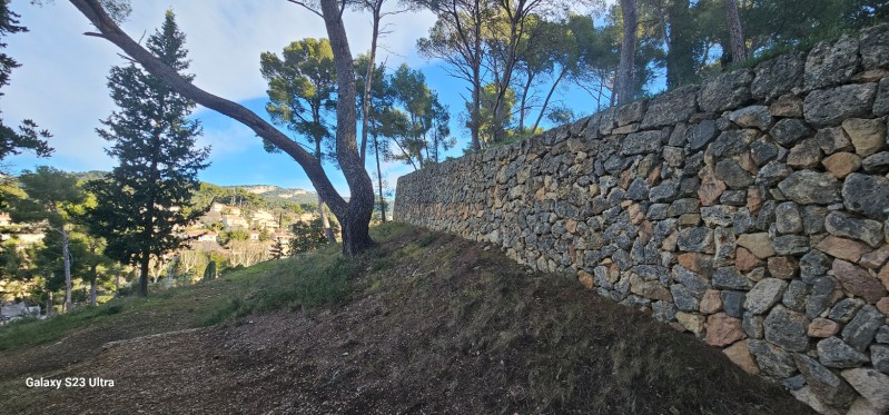 Restauration d anciens murs en pierres sèches à Ollioules 5 ans après