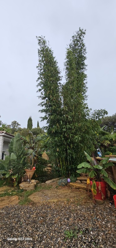 création d'un jardin méditerranéen sur Ollioules dans le VAR