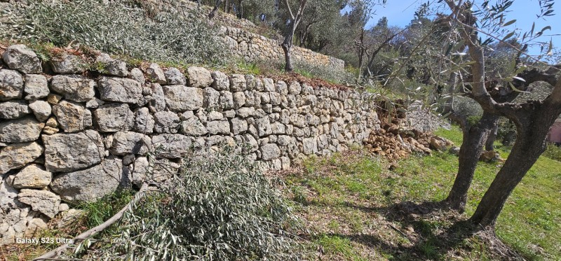 Visite 3 ans après sur la reconstruction de murets en pierres sèches à Mouans-Sartoux dans Alpes-Maritimes, en région Provence-Alpes-Côte d'Azur.