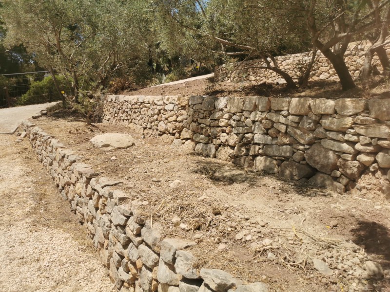 Reconstruction murets en pierres sèches de restanques au jardin des Olivier de la Mairie d'Ollioules