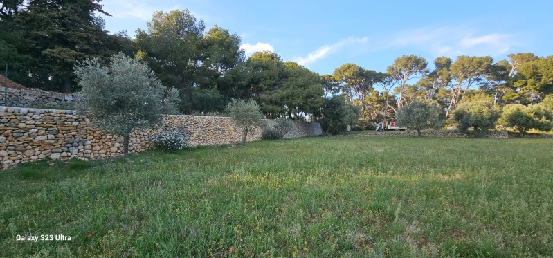réparation d un muret en pierres sèches sur Ollioules