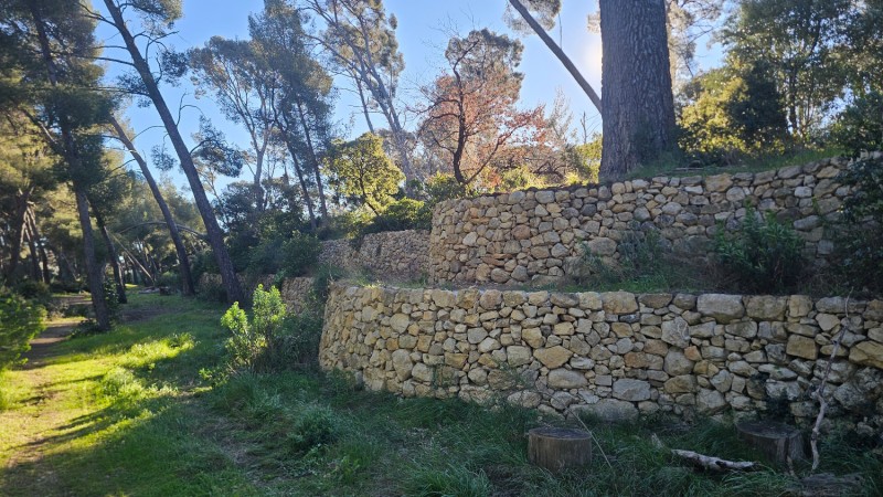 reconstruction de murets en pierres sèches à Ollioules 