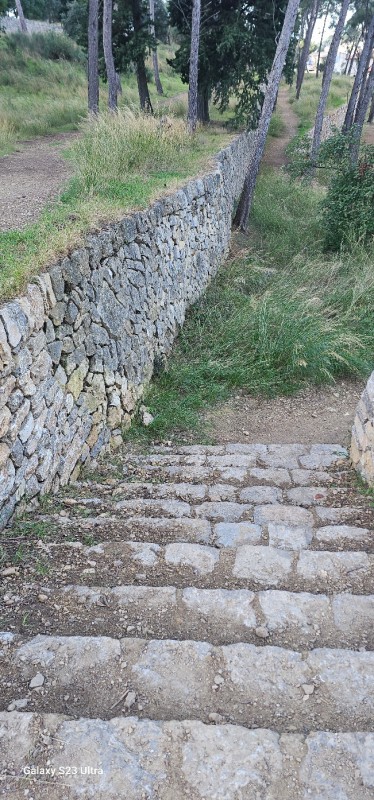 Restauration d anciens murs en pierres sèches à Ollioules 5 ans après