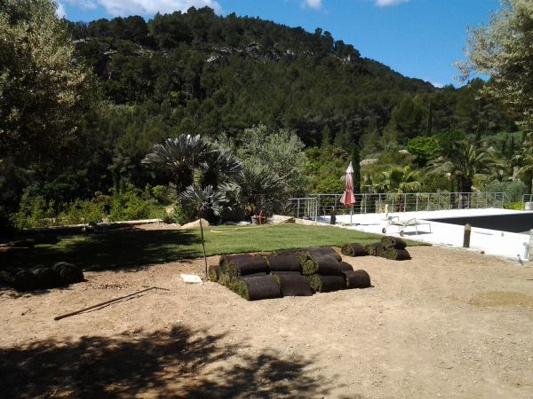 arrosage du gazon en plaques à bandol